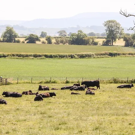 Semesterbostad Lovesome Pod